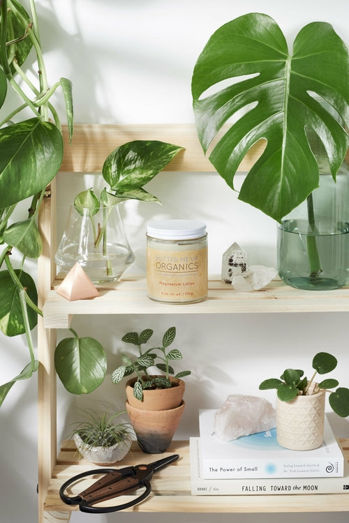 Organic Magnesium Body Lotion - Online Beauty Cart