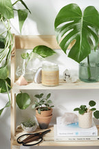 Organic Magnesium Body Lotion