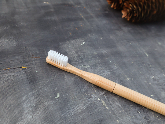 Refillable Bamboo Toothbrush (Canada Only) - Online Beauty Cart